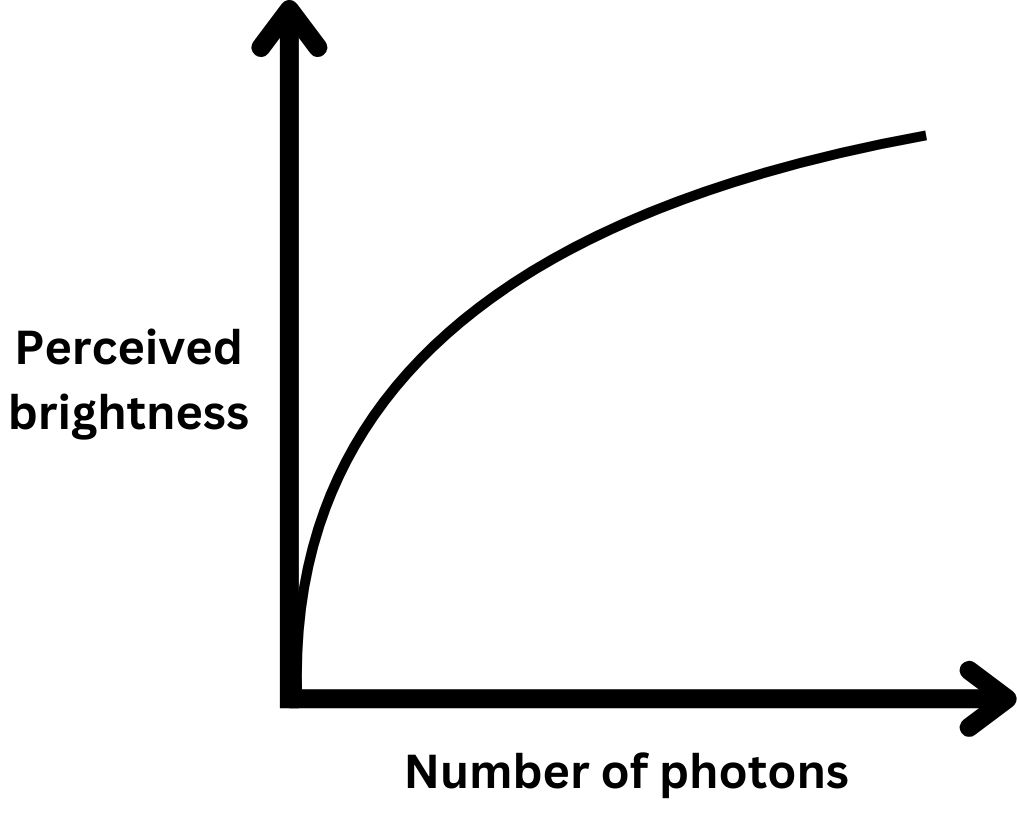 Human perceived brightness vs photons curve